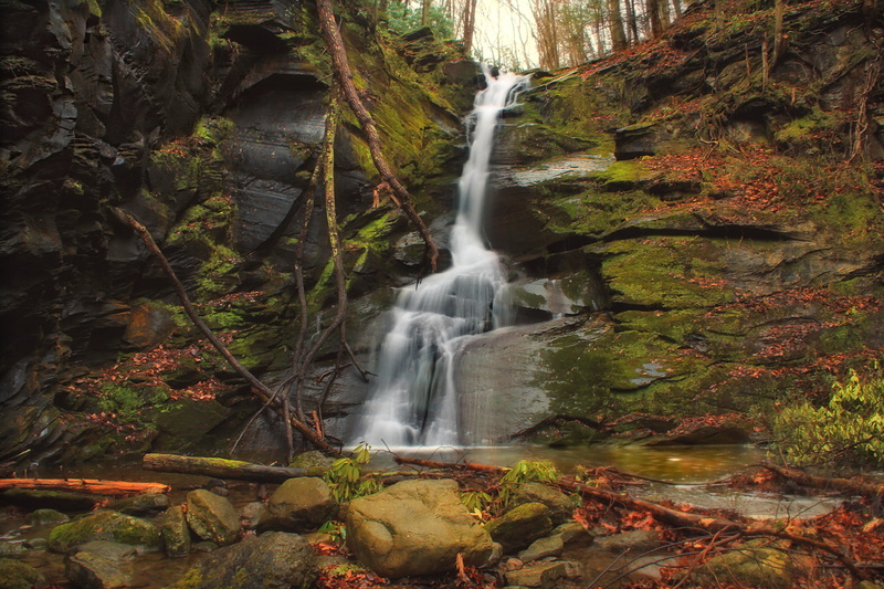 ravine, river, Slateford, nature, landscape, hiking, waterfalls, 5K, Northampton County, Falls, Pennsylvania, forest, rock - Object, creative commons