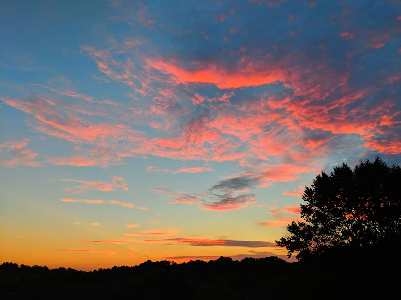 no people, united states, water, tree, morning, growth, coffee, black, orange color, environment, sky, nature, landscape, clouds, trees, louisville, warm