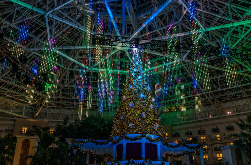bright, no people, celebration, illuminated, colorful, holiday, building, tower, nature, gaylord palms, christmas lights, Festive, xmas, building exterior