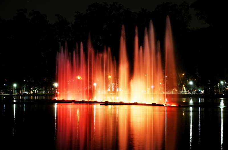 water, são paulo, color, urban, spectacle, ibirapuera park, dancing waters, lighting, lights, nature, tree, travel destinations, night vision, river, built structure