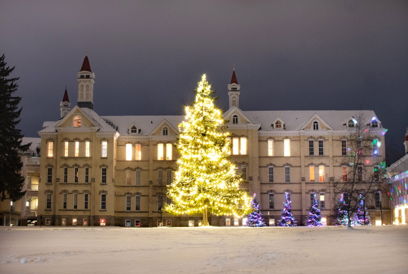 building exterior, concrete, michigan state hospital, lighted, trees, architecture, white, fir, winter, 4K, nature, building, michigan, religion, celebration