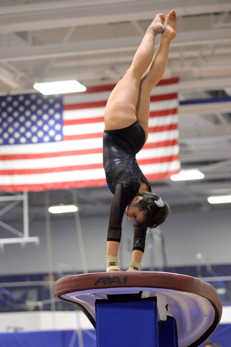 skill, lifestyles, exercising, poise, near, Vault, usa, Performance, sport, real people, muscular Build, athlete, handstand, competition, indoors, one Person