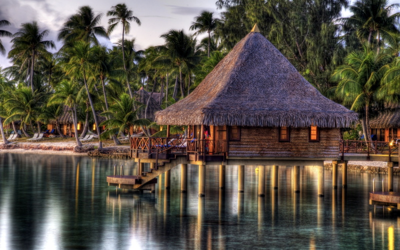 luxury, tranquil scene, nature, beauty in nature, house, roof, HDR, thatched roof, tree, water, 2K, hut, palm trees, sky, coconut palm tree, architecture