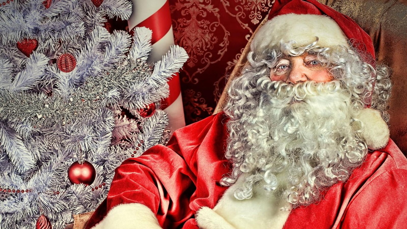 celebration, attire, christmas decoration, holiday - event, christmas, winter, expression, pretty, party, seasonal, face, tradition, mask, holiday, gift