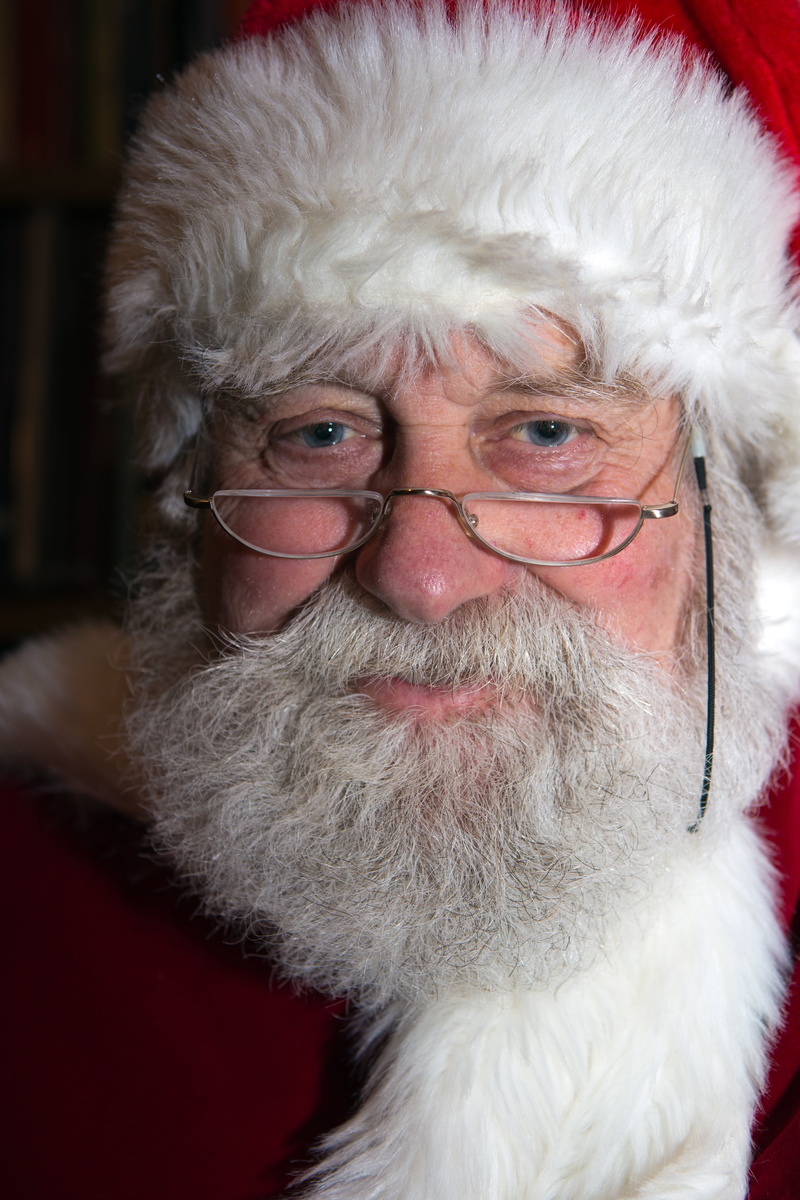 christmas, cultures, men, males, mustache, happiness, mature men, happy christmas, mature adult, santa Claus, human face, headshot, holiday, eyeglasses
