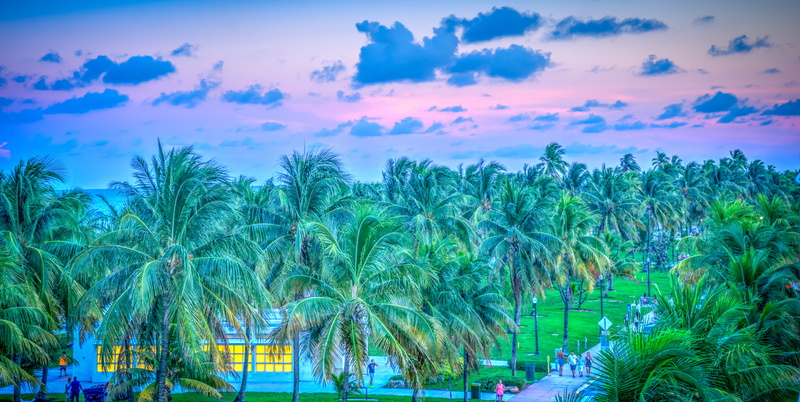 summer, horizon, tropical climate, people, tropical tree, cloud - sky, travel, 5K, tree, outdoor, cloudy, south beach, palm trees, outdoors, beauty in nature