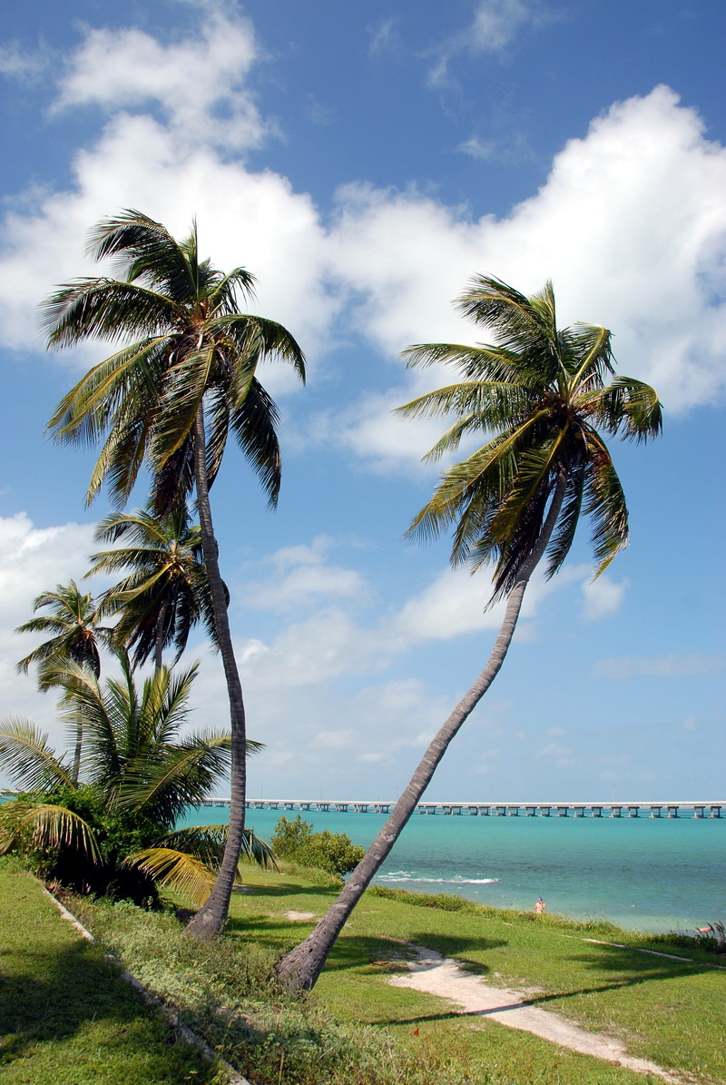 vacation, island, ocean, green Color, landscape, travel Locations, tree, natural, historic, nobody, travel, Bahia Honda State Park, plant, paradise, tropical Climate