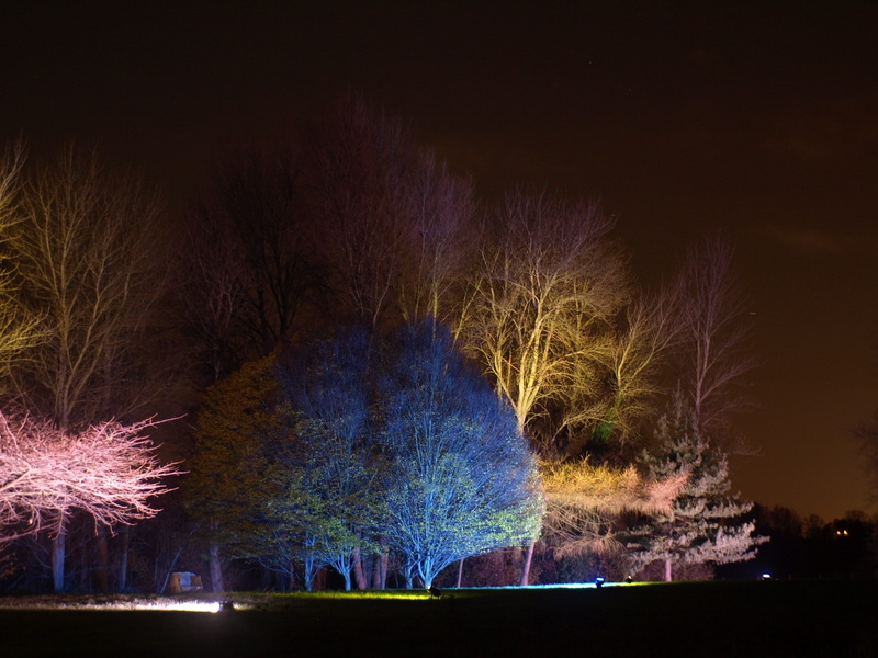 2K, landmark, multi colored, glowing, outdoors, water, effect, beautiful, trees, England, exploding, country, Syon Park, woodland, lighting, evening, event