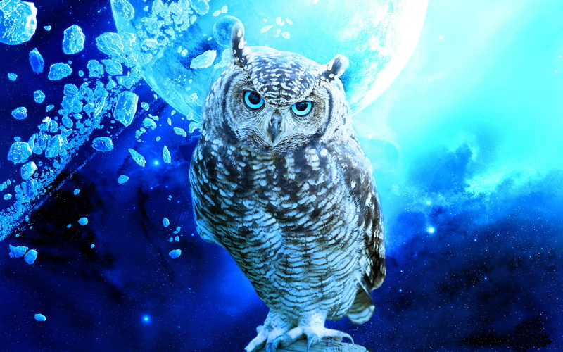 stars, owl, 1080P, debris, hd, animals, blue, bird, planet