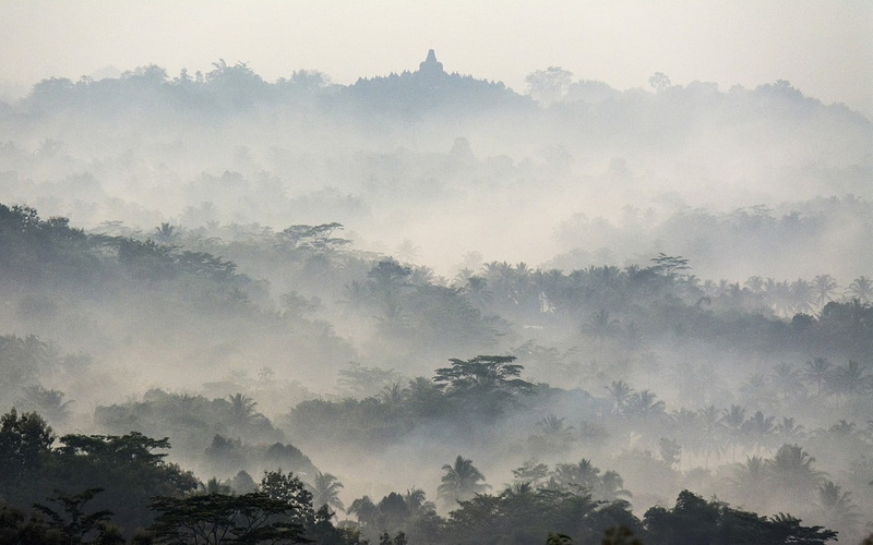 treetop, day, woodland, idyllic, mist, plant, nature, temple, landscape, morning, tropical forest, no people, tree, hazy, 720P, Buddhism, tranquil scene