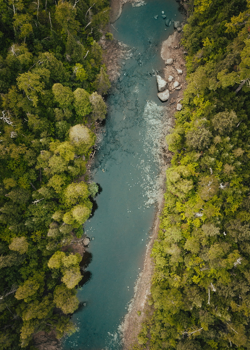backpack, minnesotum, river, rock, water, wet, wild, wood, aerial View, photo, tree, travel, pine, wilderness, spruce, riverside, ravine, environment, top