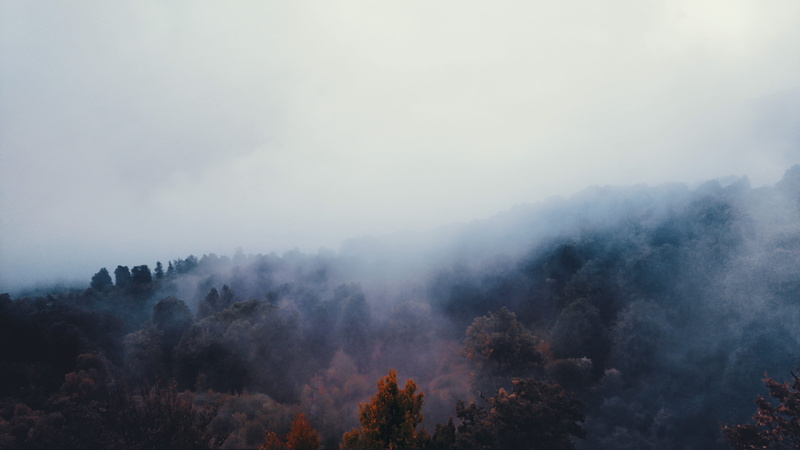 eye, iran, smog, environment, 5K, fogs, trees, cloud - sky, white, landscape, mountain, day, outdoors, plant, tranquil scene, tree, daytime, no people