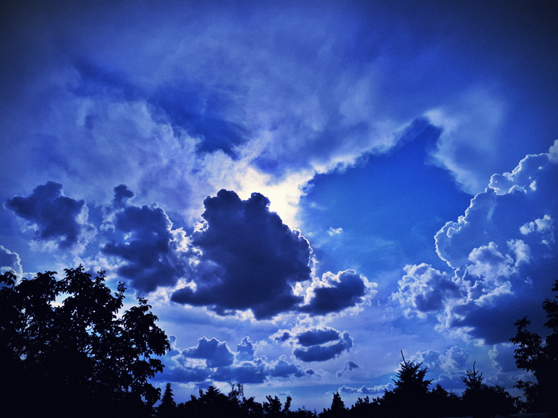 blue, trees, clouds, tree, idyllic, silhouette, beauty in nature, scenics - nature, tranquility, 4K, dramatic sky, day, plant, sky, no people, outdoors