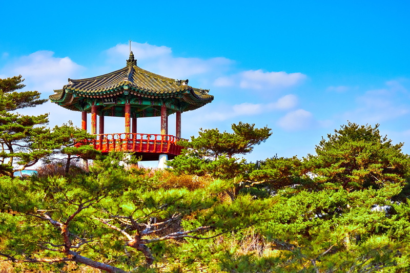 place of worship, cloud - sky, building exterior, growth, korea, nature, day, south korea, sky, green color, 4K, trees, tower, built structure, treetop
