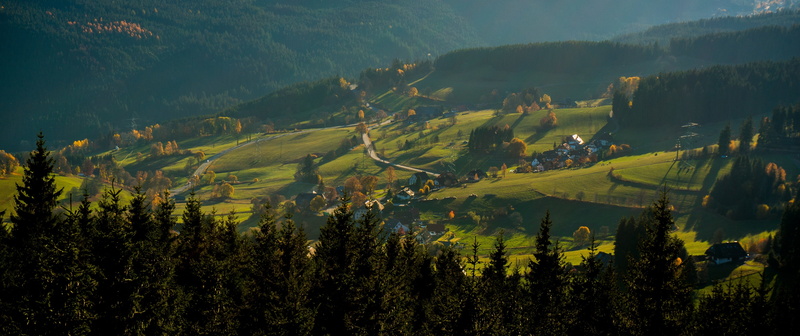 rolling landscape, no people, conifer, building, hinterzarten, agriculture, field, plant, saiger height, nature, forests, beauty in nature, green color
