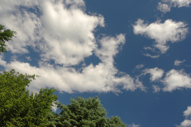 scenics - nature, tranquil scene, idyllic, sunlight, day, blue, blue sky, plant, clouds, tranquility, weather, outdoors, no people, wide ang;e, desktop background