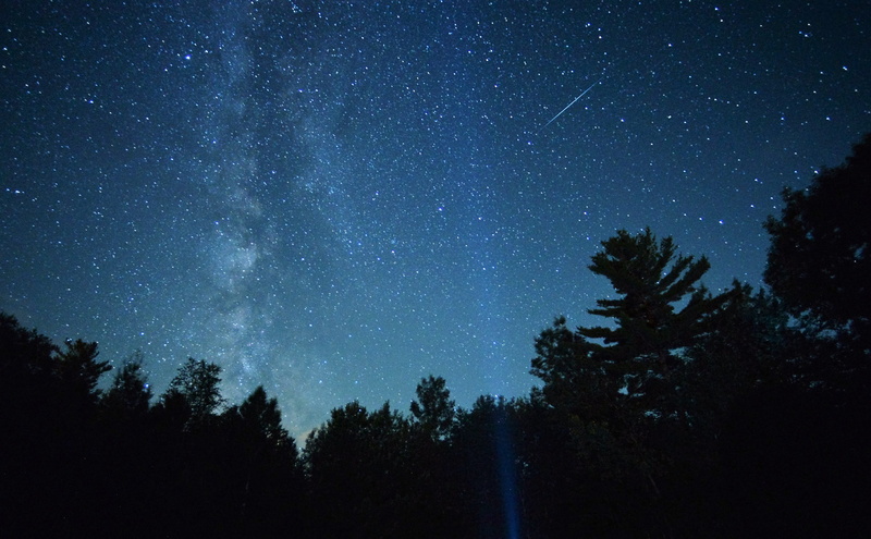 nature, scenics - nature, silhouette, star - space, treetops, 2K, milky way, beauty in nature, astronomy, star, galaxy, sky, dark, star field, space and astronomy