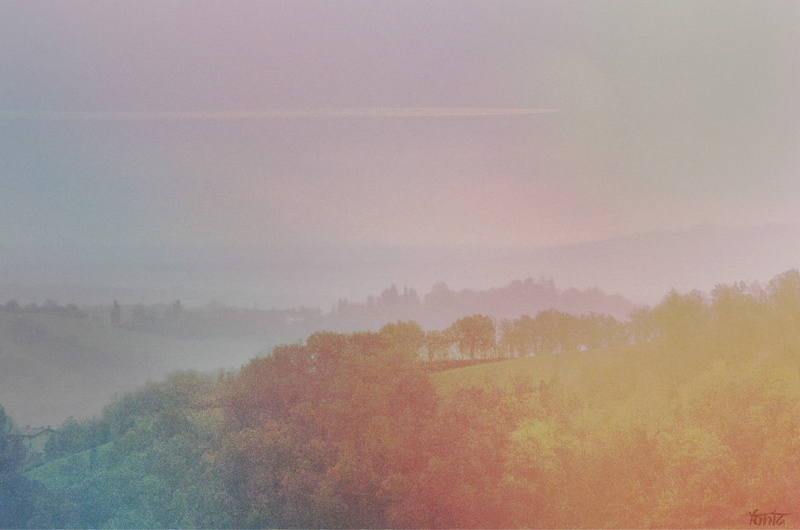 morning, sunlight, rural Scene, fog, sky, green, scenics, green Color, plant, meadow, tree, mist, outdoors, nature, environment, tranquil Scene, trees
