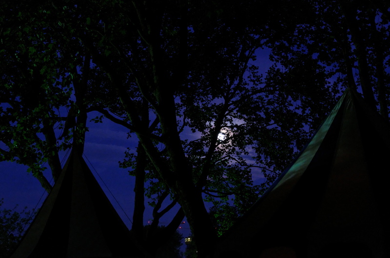 tree, moon, night, built structure, growth, branch, silhouette, medieval market, plant, building exterior, 4K, architecture, religion, beauty in nature