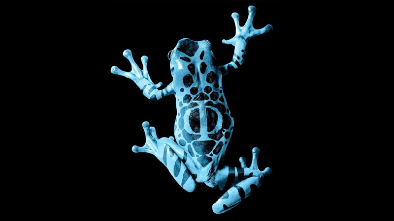 bone, human body part, human bone, healthcare and medicine, skeleton, body part, x-ray image, biology, black background, medical exam, illness, studio shot