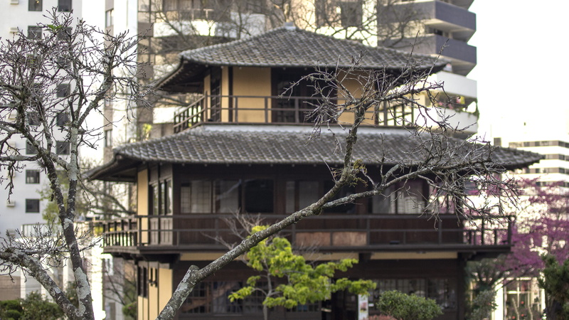 city, house, no people, 5K, focus, the past, japan, history, outdoors, day, curitiba, residential district, built structure, low angle view, tree, architecture