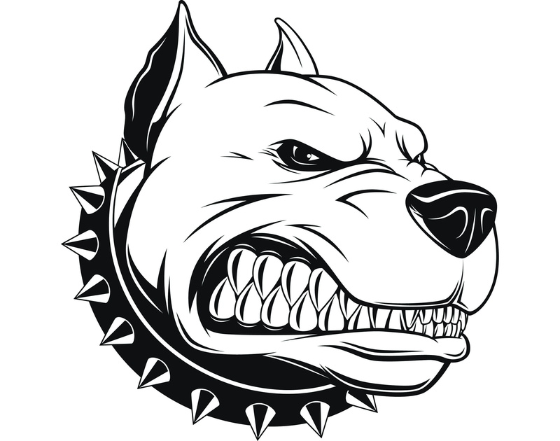 illustration, Pit bull, avatar, art, Pitbull, the dog, angry dog, 2K, bulldog