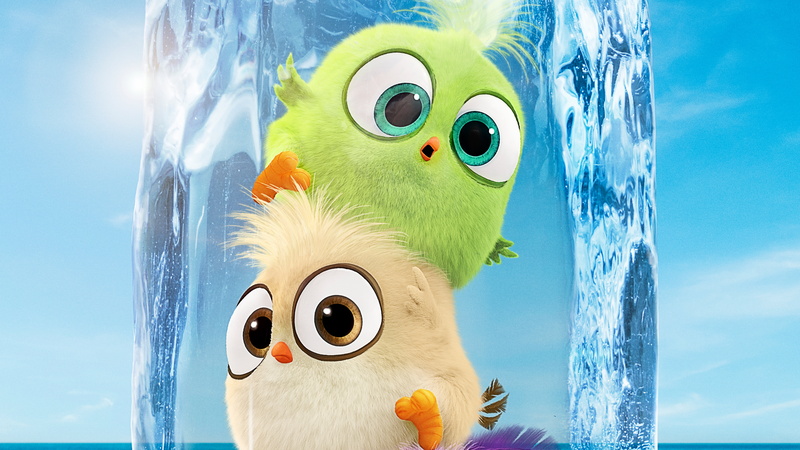 Movie, 5K, The Angry Birds Movie 2