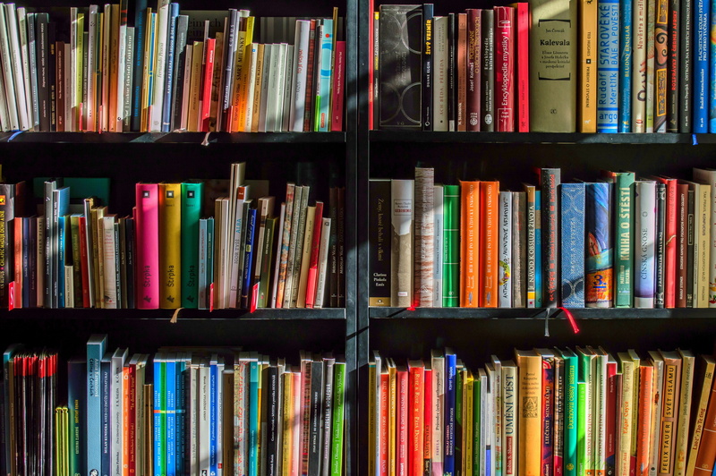 large group of objects, in a row, arrangement, education, publication, side by side, textbook, still life, shelf, no people, 4K, studying, book, full frame