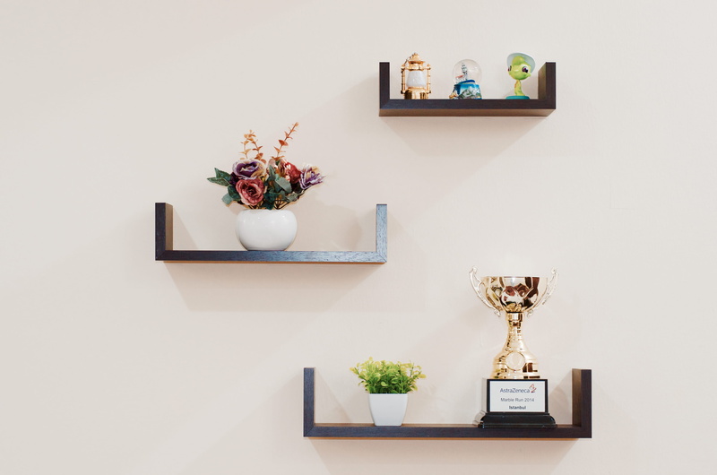 plants, shelf, flowering plant, potted plant, award, trophy, nature, pot, wooden, home interior, no people, 4K, publication, shelves, plant, book, wall