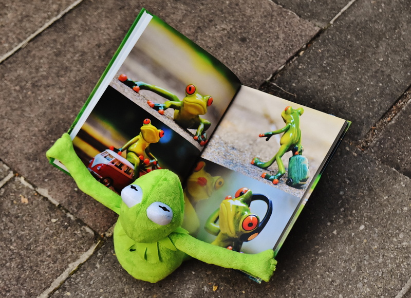 representation, book, sit, high angle view, small, creativity, footpath, day, holding, directly above, concrete, 5K, viewing, picture book, multi colored