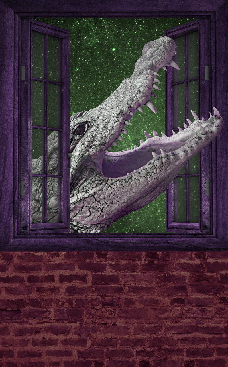 day, animal representation, scary, representation, nature, animal wildlife, wild, alligator, peter pan, 5K, teeth, storytelling, story, vertebrate, one animal