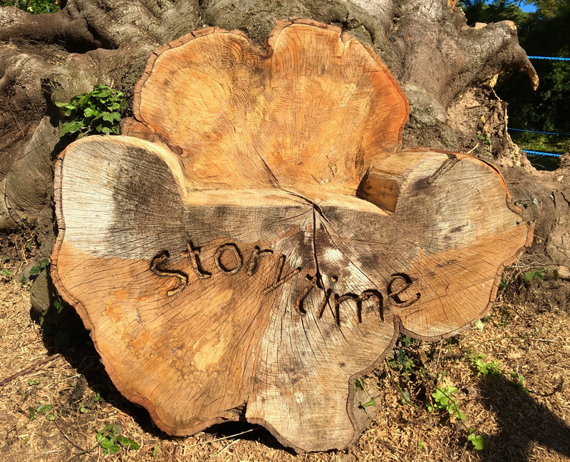 text, day, mystery, plant, tree trunk, storytelling, magic, sign, dreamy, timber, deforestation, park, forest, fairy, land, 2K, outdoors, fantasy, log