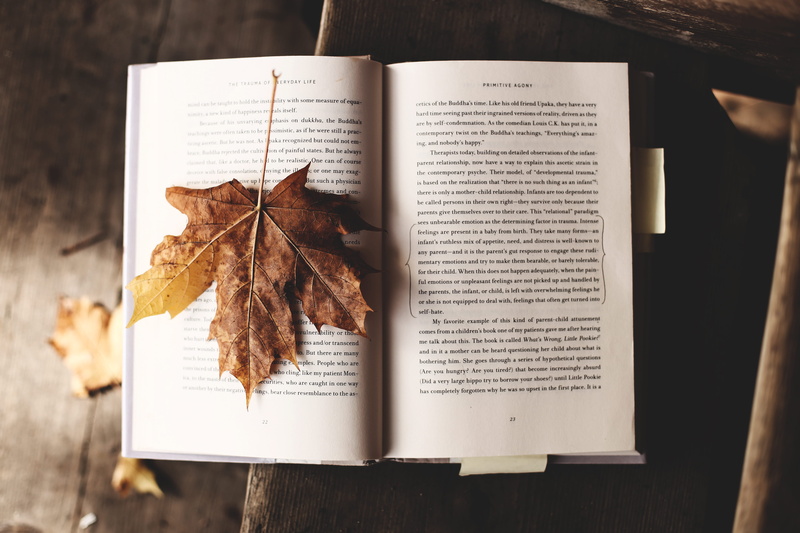 wood - material, script, old, plant part, change, dry, old-fashioned, paper, autumn, dried, close-up, no people, maple, publication, open, leaves, dead leaf