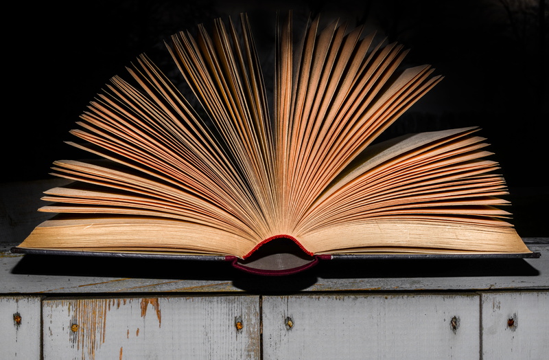 hardcover book, literature, indoors, media, top, open, library, black background, page, close-up, brightly lit, hardcover, cabinet, design, large group of objects
