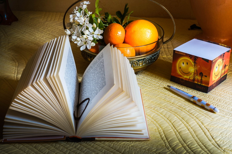livre, choisya, book, page, 4K, sony  nex-6, lumière, mexique, oranges, education, literature, du, open, composition, oranger