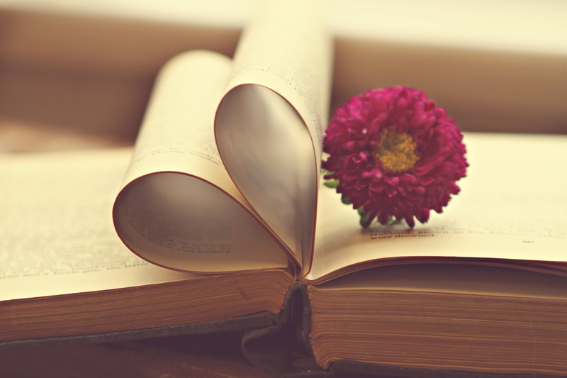 heart, petaled, photo, book  book, purple, for the love, pink, wisdom, old, vintage, page, reading, dof, flower, hardcover, learning, shallow, literature