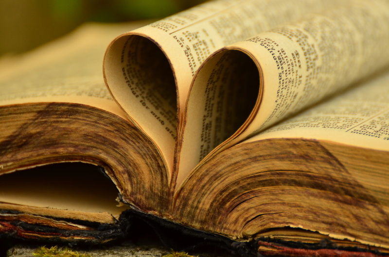 book, reading, old, small group of objects, antique, word of god, religion, faith, formed, shot, education, well-thumbed, communication, text, christianity