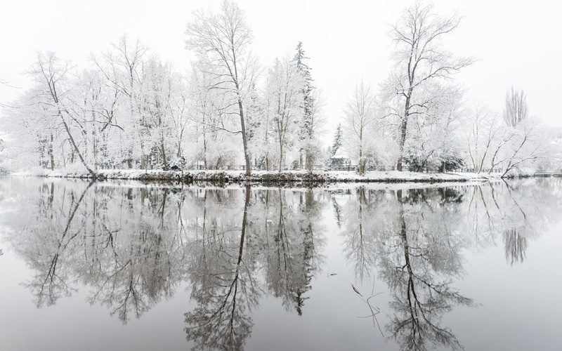outdoors, non-urban scene, reflection, water, day, tree, tranquility, sky, symmetry, 1080P, lake, bare tree, nature, waterfront, idyllic, no people, background pictures nature hd images 1920x1200