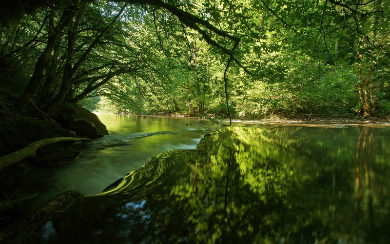 image background nature hd image 1920x1200, 1080P