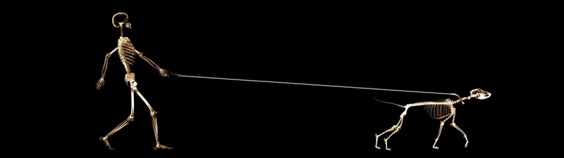 black background, human body part, vitality, 1080P, hanging, sport, studio shot, motion, strength, people, young adult, balance, dual screen pretty picture background