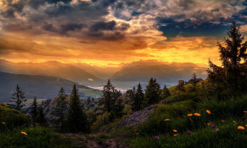 growth, clouds, flower, tranquility, sunlight, mountain peak, environment, land, tranquil scene, tree, flowers, sunset, no people, 4K, petaled, plant
