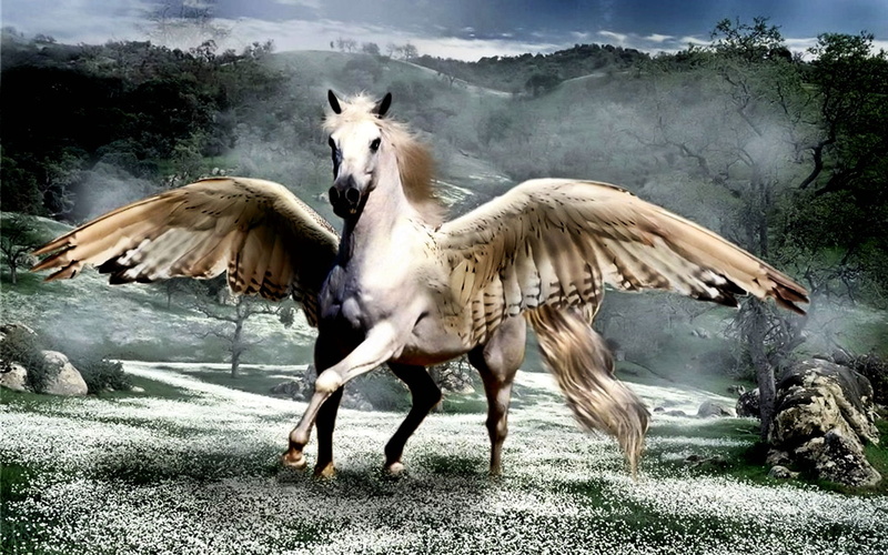 beautiful, wings, fairytale, 720P, fantasy, horse, white, dream, horses, animals, animal, pegasus, hd