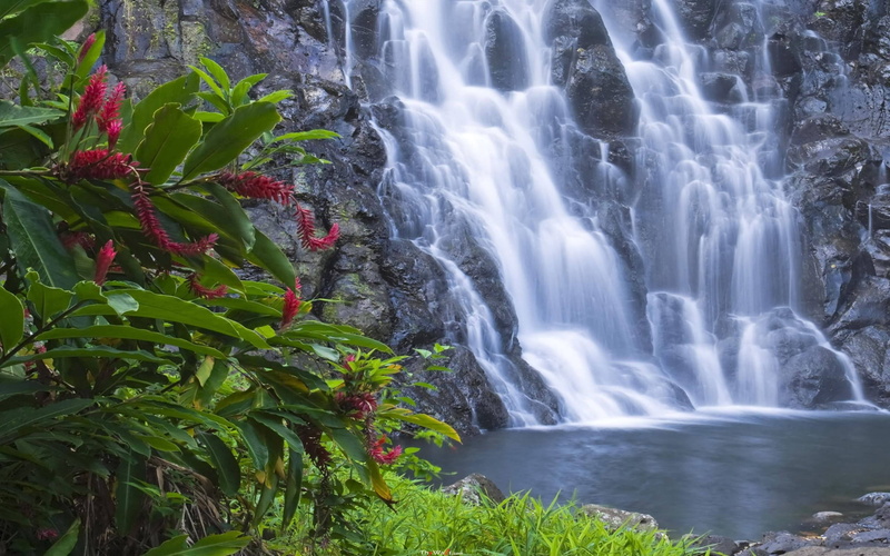environment, rock, no people, beauty in nature, nan, pohnpei, hd, power in nature, rainforest, madol, rock - object, scenics - nature, long exposure, motion