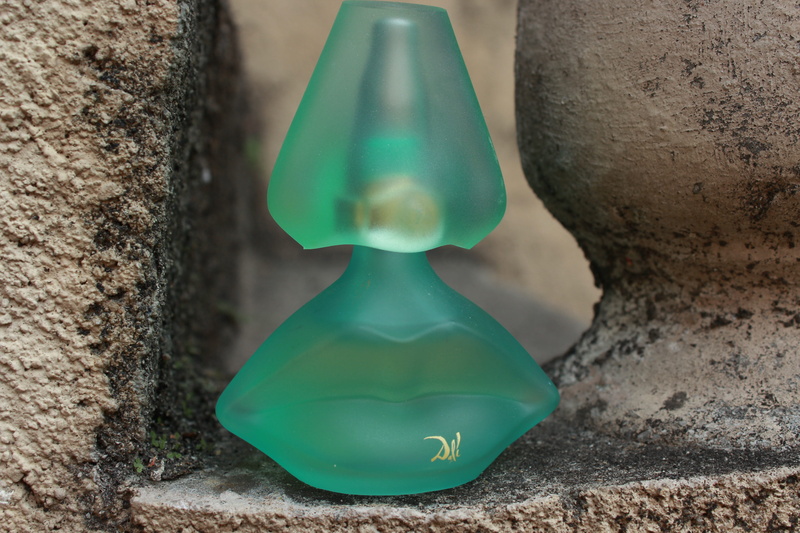 Bottle, rock, Salvador Dali, no people, textured, Perfume, single object, nature, wall - building feature, architecture, rock - object, solid, outdoors