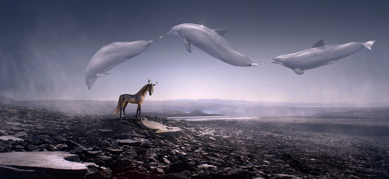 landscape, dream world, mysticism, fantasy picture, scene, exotic, water, animals in the wild, full length, cloud - sky, fly, pinball, barren, horse, weightless