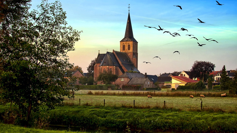 sky, village, saint anthony the great church, cloud, hanselaer, landscape, 1080P, place of worship, grass, tree, germany, church, birds, europe, rural area