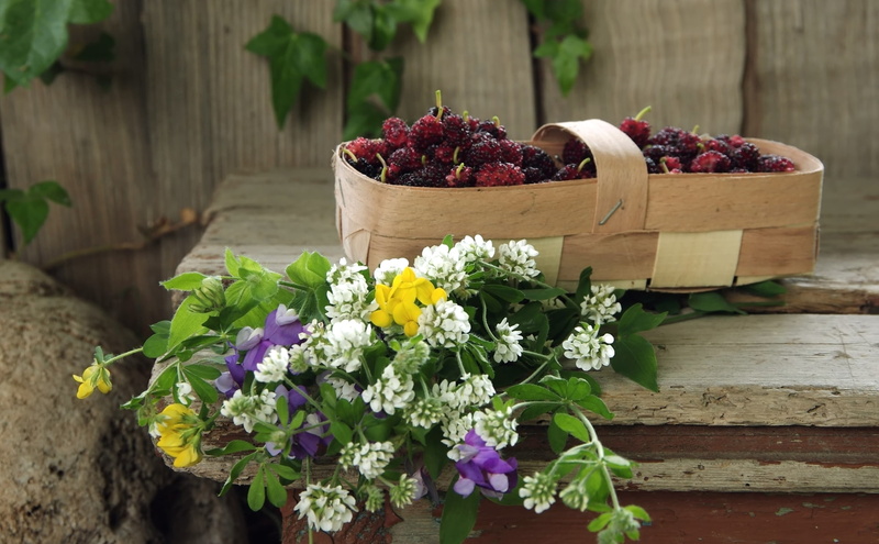 purple, freshness, food and drink, flower arrangement, healthy eating, wood - material, flower head, no people, leaf, close-up, 1080P, focus on foreground
