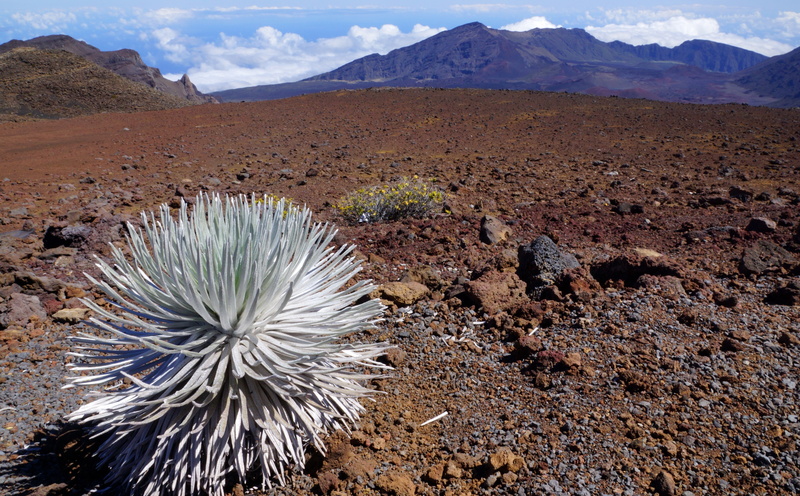 beauty in nature, mauii, hires, field, sky, climate, national, Island, slta77, volcanic crater, High, Picture, unitedstates, hawai, day, nature, resolution