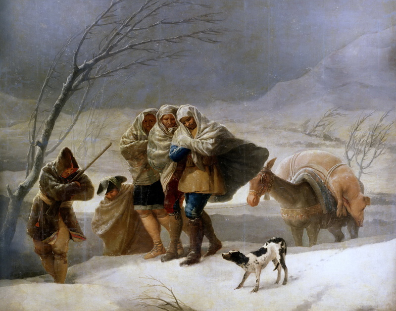 vertebrate, warm clothing, Winter, travelers, animals, adult, people, group of people, pets, domestic animals, genre, picture, one animal, Blizzard, pet owner
