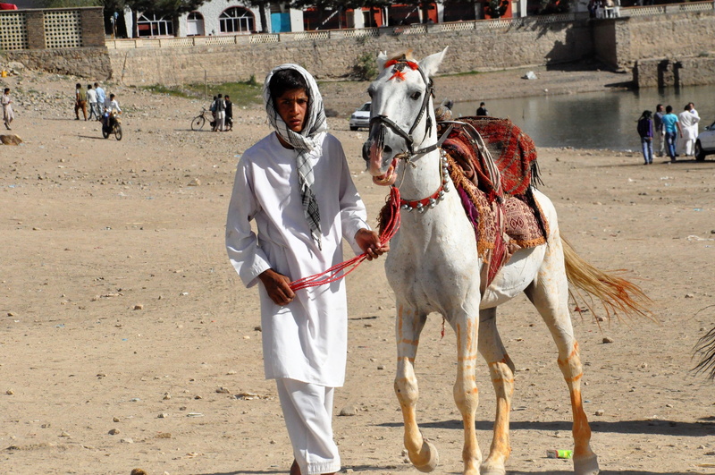 human, land, mammal, domestic animals, equestrian, adults only, relationship, adult, reins, afghanistan, traditional clothing, competition, lifestyles